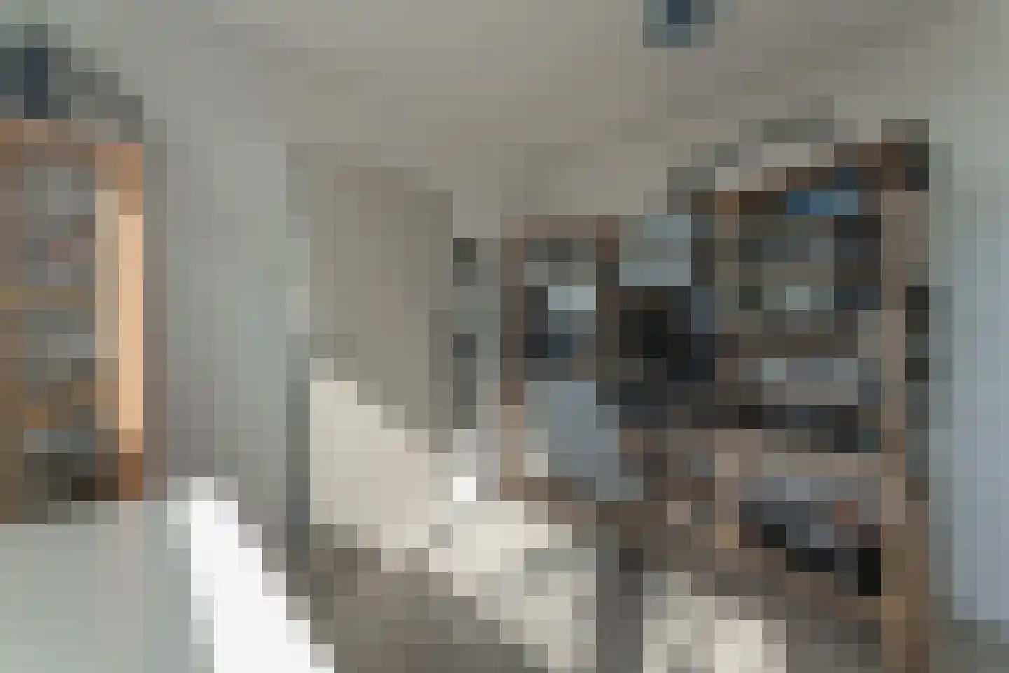 Rode Paard 4 Enkhuizen thumbnail 31
