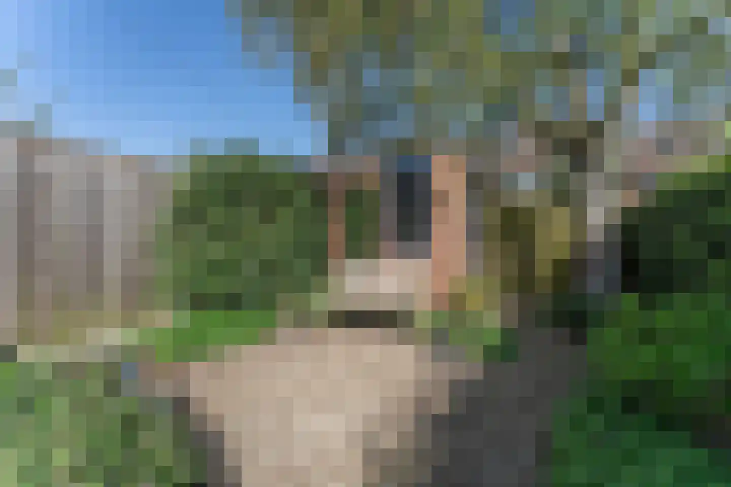 Rode Paard 4 Enkhuizen thumbnail 36