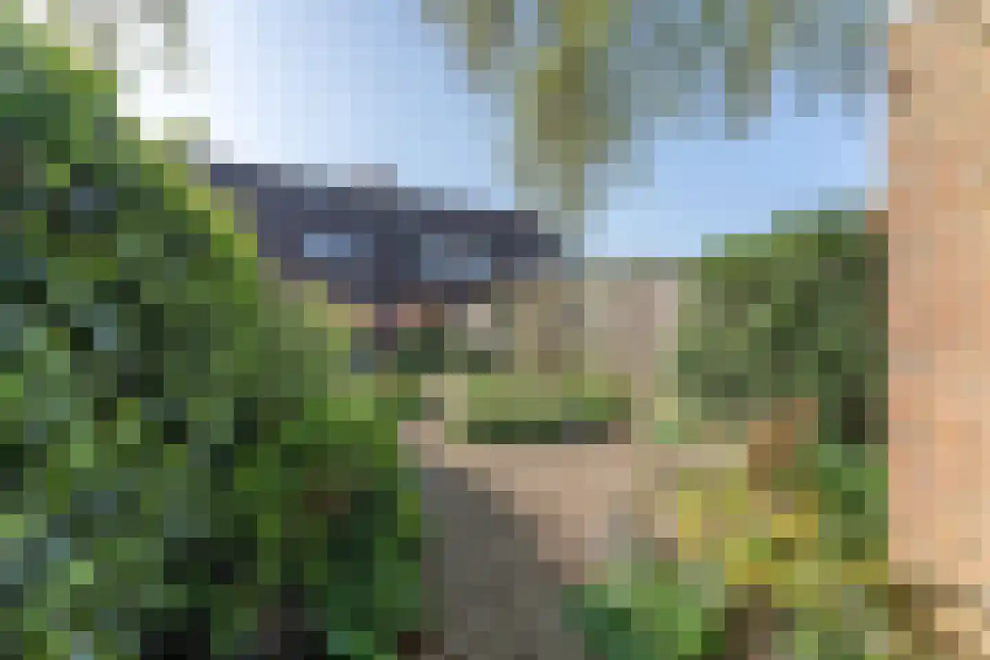 Rode Paard 4 Enkhuizen thumbnail 37