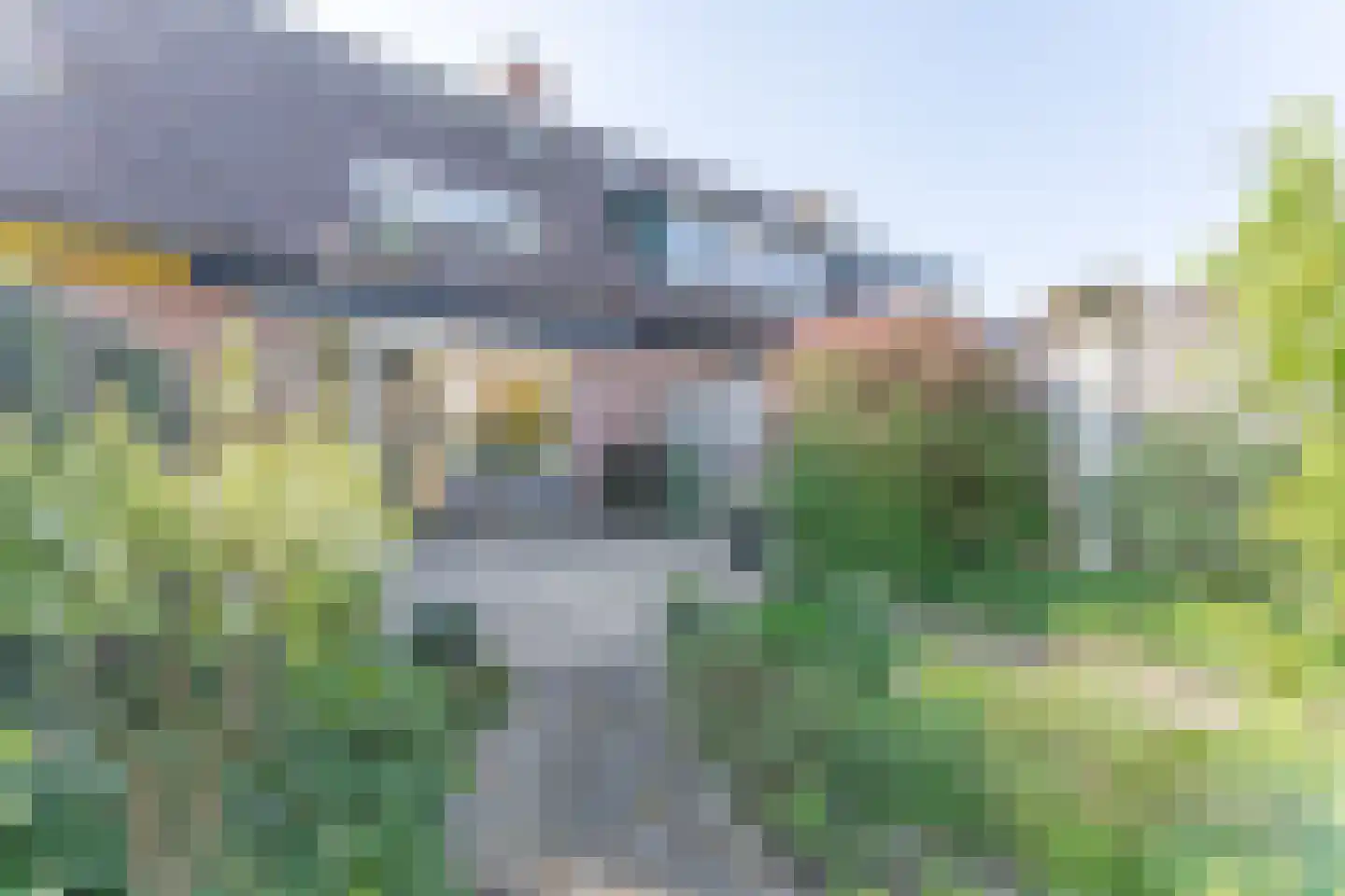 Rode Paard 4 Enkhuizen thumbnail 39