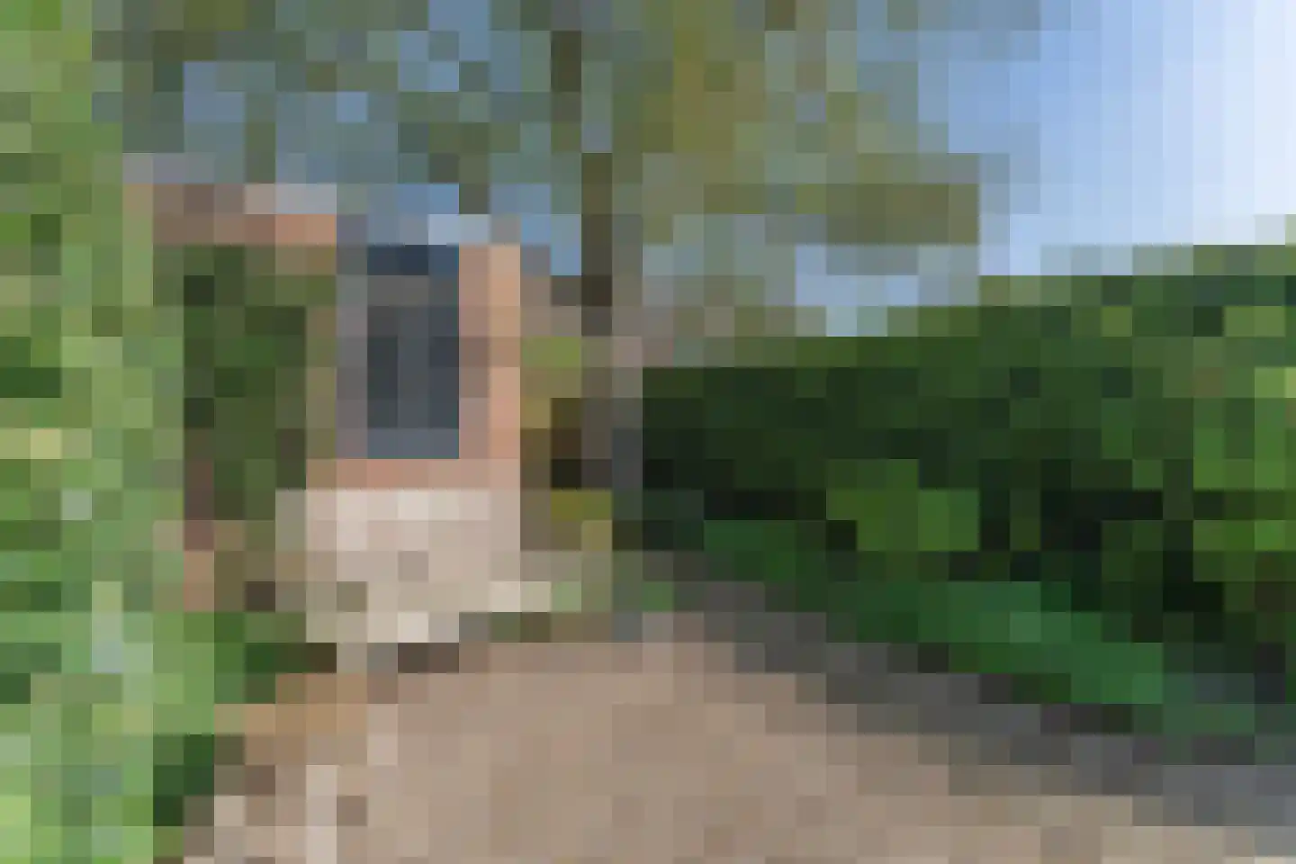 Rode Paard 4 Enkhuizen thumbnail 41