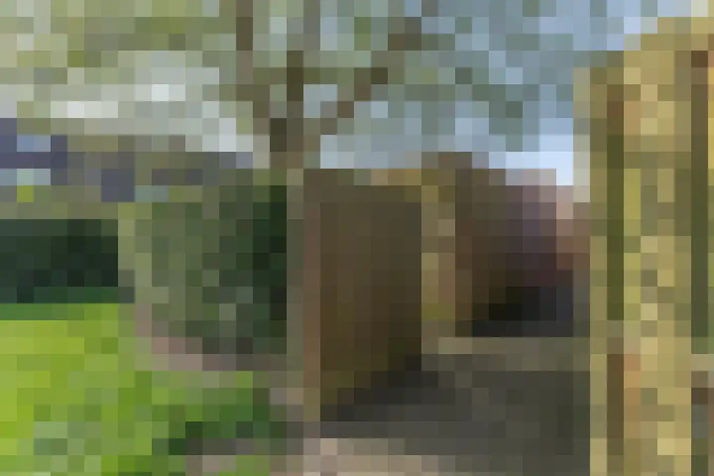 Rode Paard 4 Enkhuizen thumbnail 44