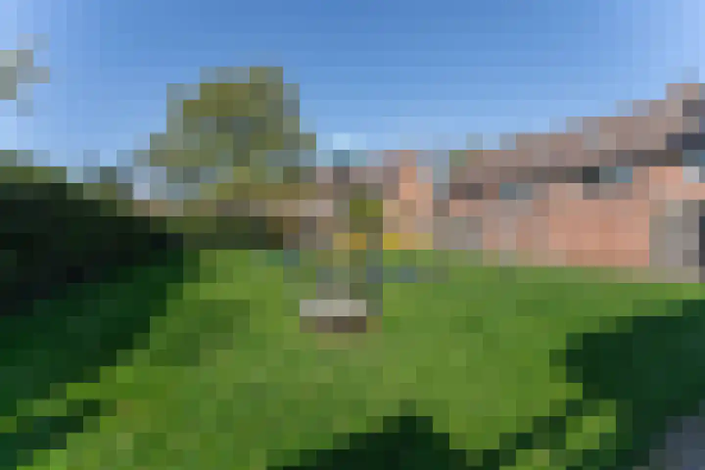 Rode Paard 4 Enkhuizen thumbnail 45