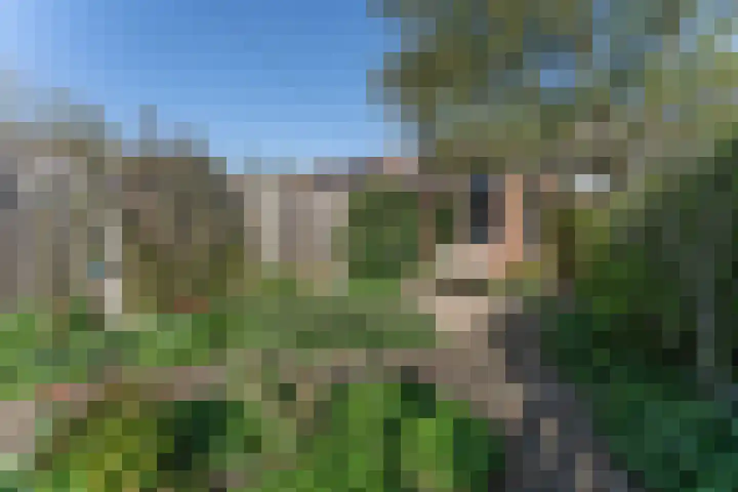 Rode Paard 4 Enkhuizen thumbnail 8