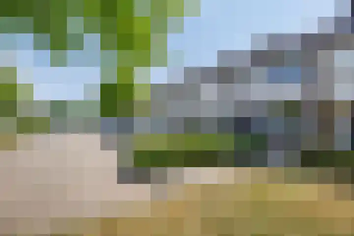 Rode Poort 54 Etten-Leur thumbnail 41