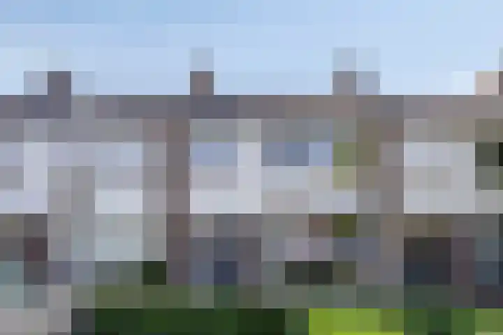Rode Poort 54 Etten-Leur thumbnail 6