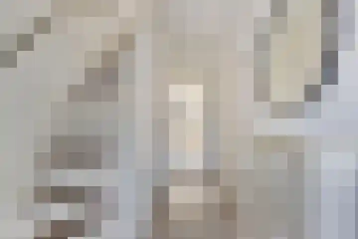 Rode Poort 54 Etten-Leur thumbnail 8