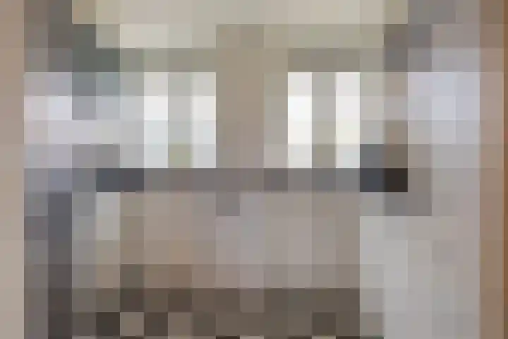 Rode Ring 133 Assendelft thumbnail 11