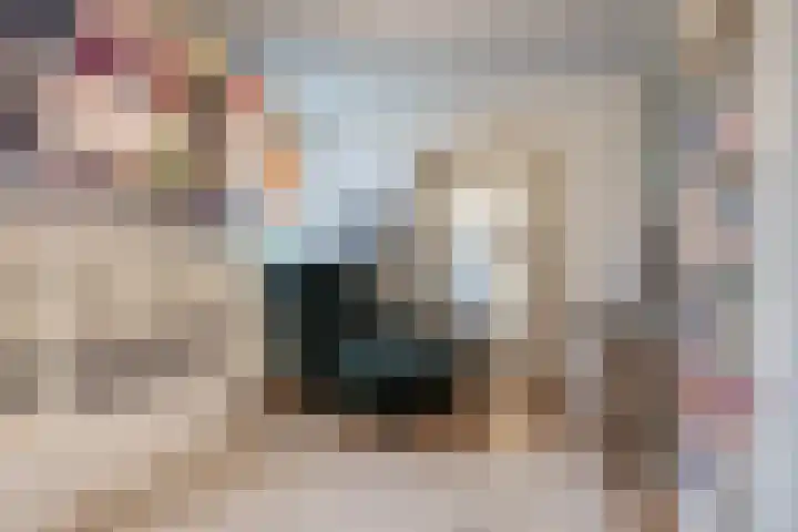 Rode Ring 133 Assendelft thumbnail 17