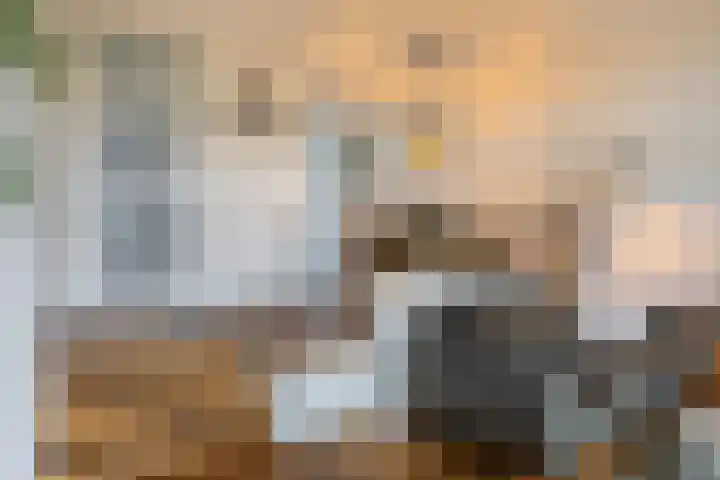 Rode Ring 133 Assendelft thumbnail 8