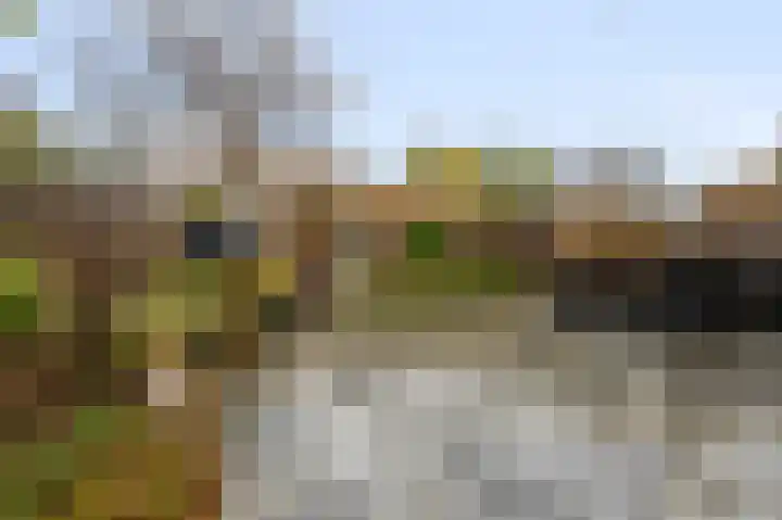 Rode Ring 148 Assendelft thumbnail 12