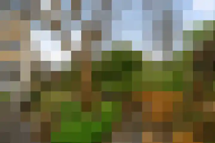 Rode Ring 148 Assendelft thumbnail 13