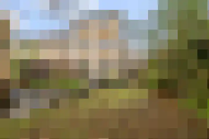 Rode Ring 148 Assendelft thumbnail 14
