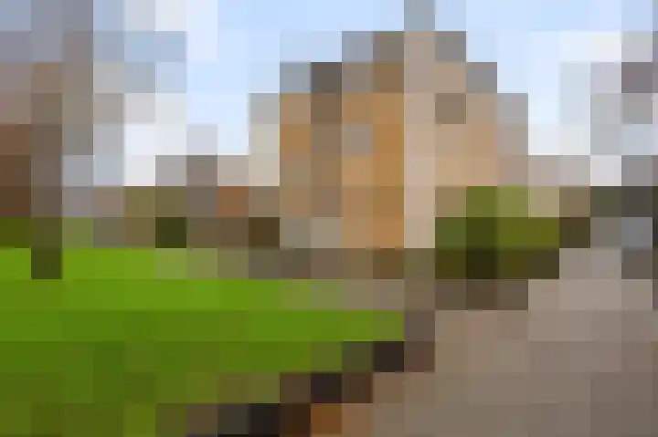 Rode Ring 148 Assendelft thumbnail 38