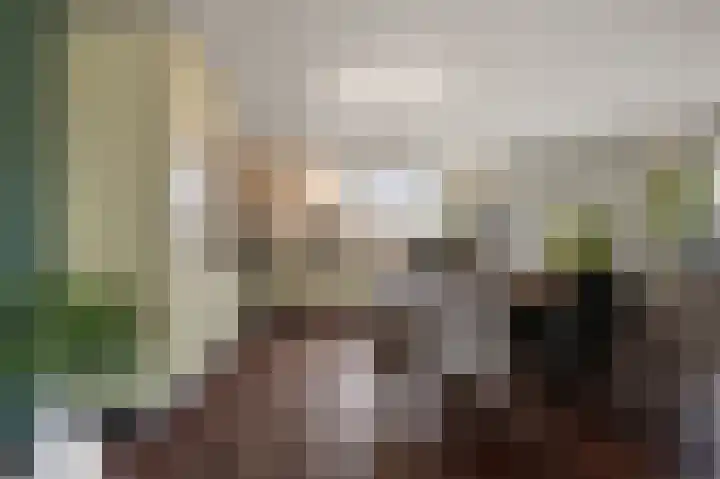 Rode Ring 148 Assendelft thumbnail 8