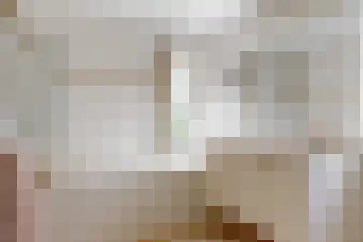 Rode Ring 187 Assendelft thumbnail 21