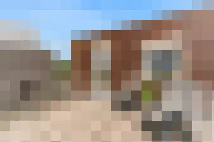 Rode Ring 187 Assendelft thumbnail 33