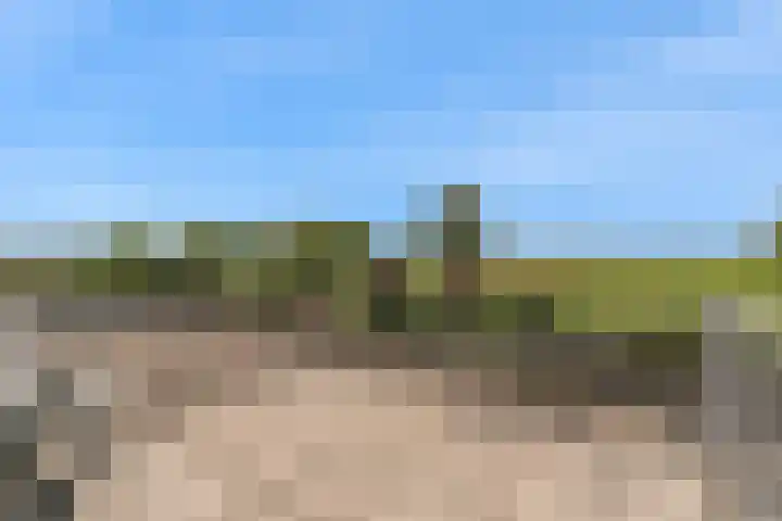Rode Ring 187 Assendelft thumbnail 34