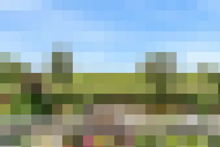 Rode Ring 187 Assendelft thumbnail 35