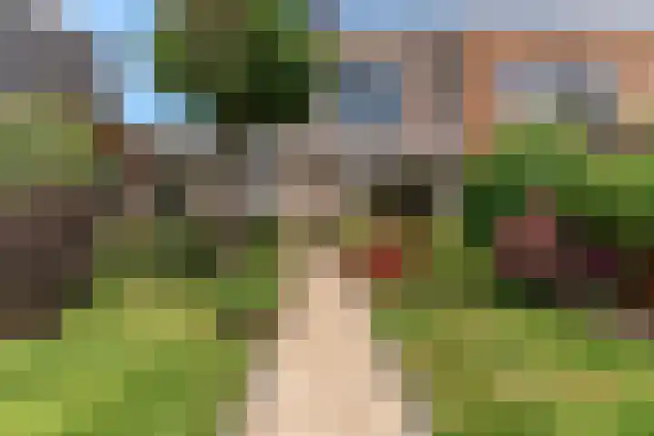 Rode Ring 187 Assendelft thumbnail 38