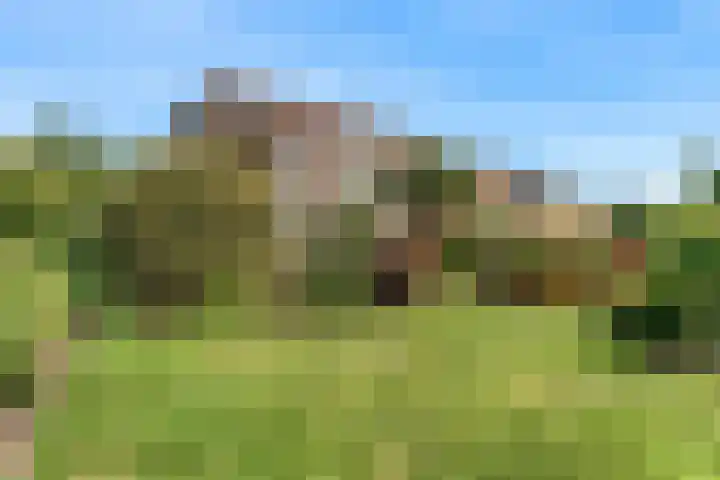 Rode Ring 187 Assendelft thumbnail 39