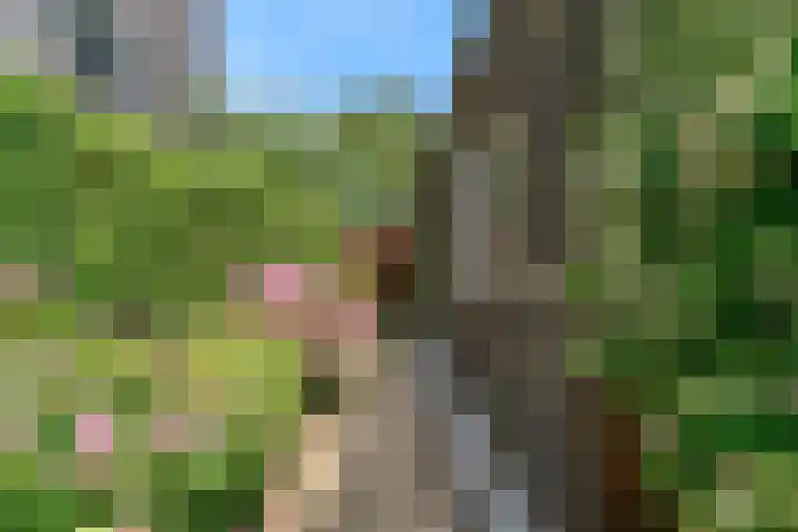 Rode Ring 187 Assendelft thumbnail 40