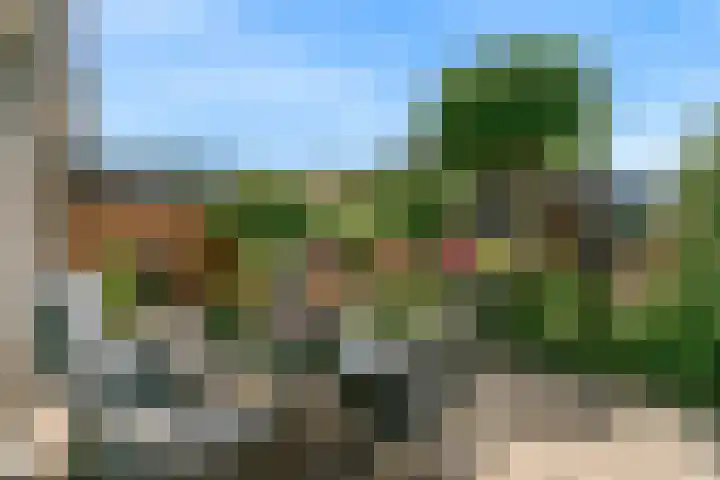 Rode Ring 187 Assendelft thumbnail 41