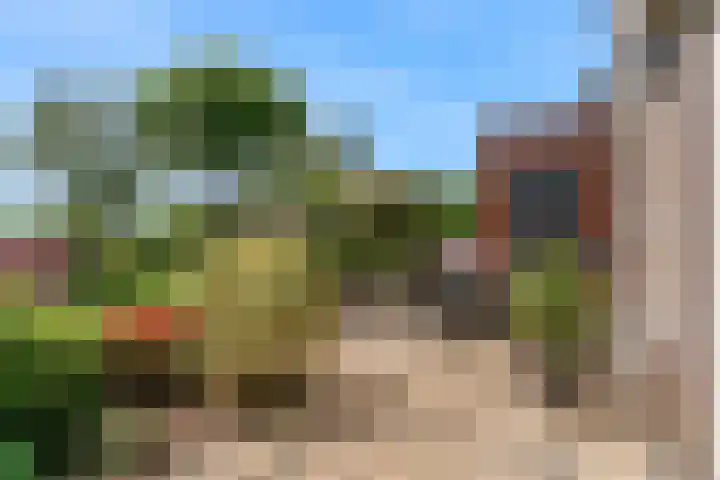 Rode Ring 187 Assendelft thumbnail 42