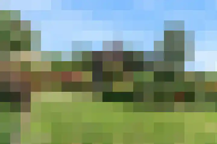 Rode Ring 187 Assendelft thumbnail 43