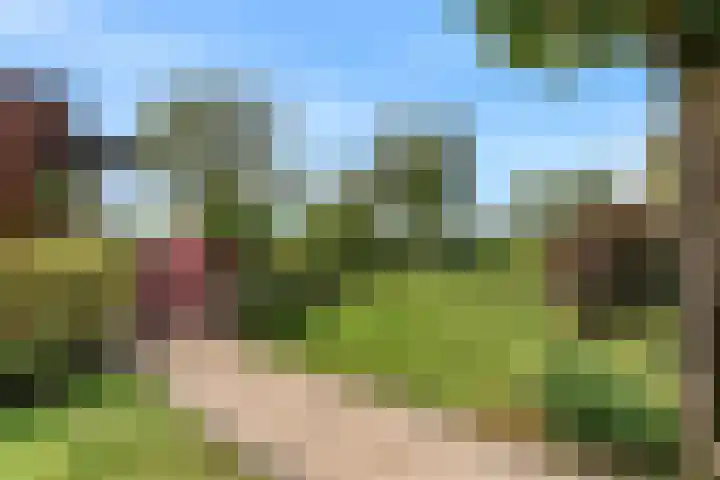 Rode Ring 187 Assendelft thumbnail 44