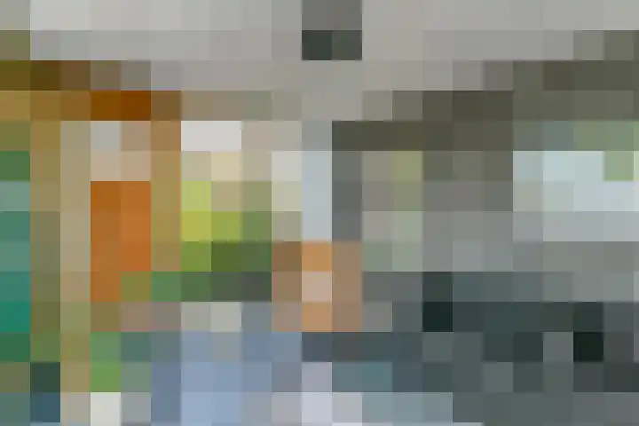 Rode Ring 187 Assendelft thumbnail 46