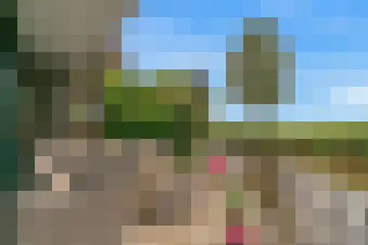 Rode Ring 187 Assendelft thumbnail 49