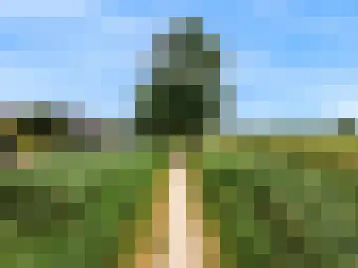 Rode Ring 187 Assendelft thumbnail 51