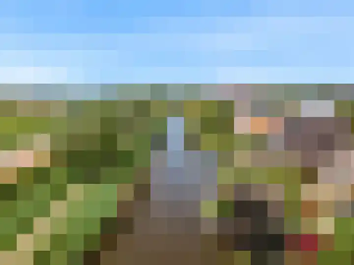 Rode Ring 187 Assendelft thumbnail 52