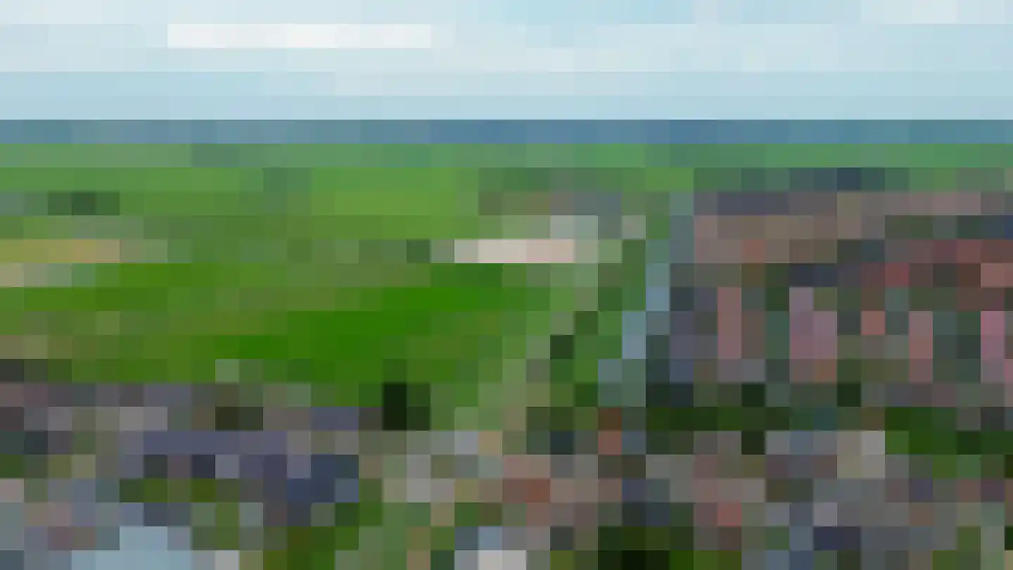 Rode Ring 207 Assendelft thumbnail 32