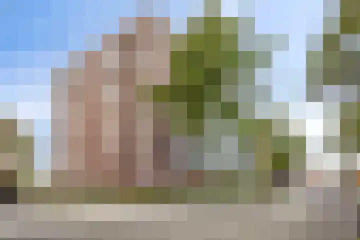 Rode Ring 215 Assendelft thumbnail 15