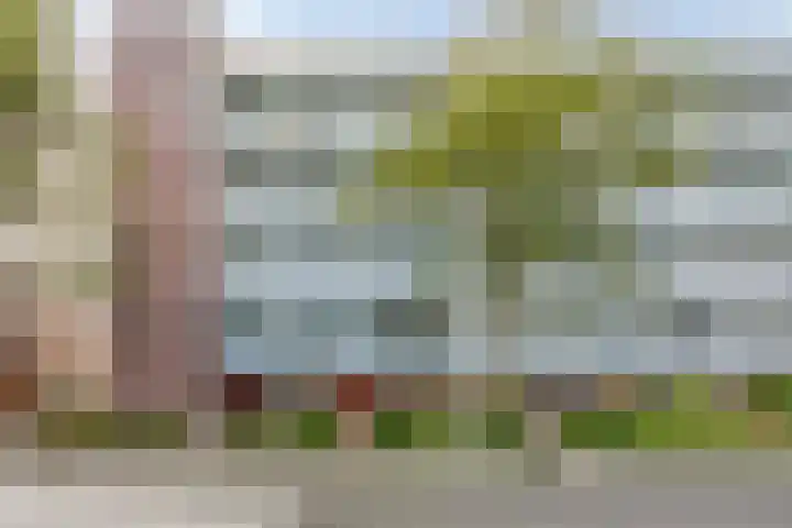 Rode Ring 215 Assendelft thumbnail 16