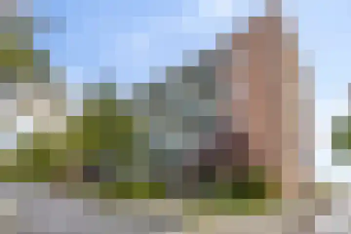Rode Ring 215 Assendelft thumbnail 17