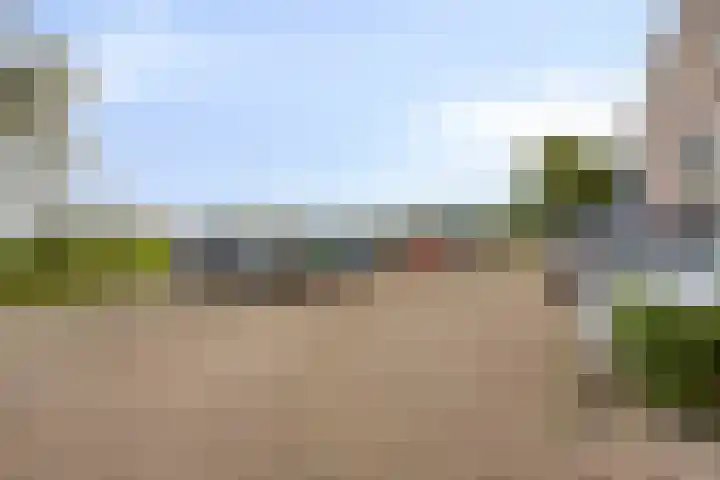 Rode Ring 215 Assendelft thumbnail 18