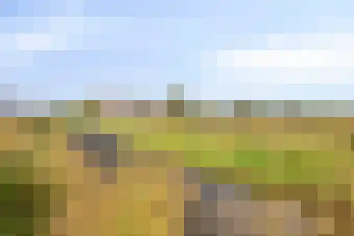 Rode Ring 215 Assendelft thumbnail 19