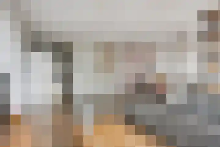 Rode Ring 215 Assendelft foto 2