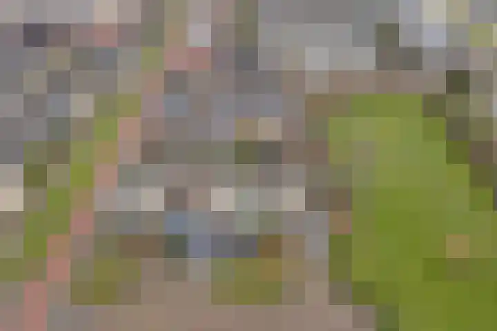 Rode Ring 215 Assendelft thumbnail 22
