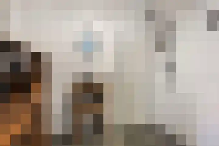 Rode Ring 215 Assendelft thumbnail 5