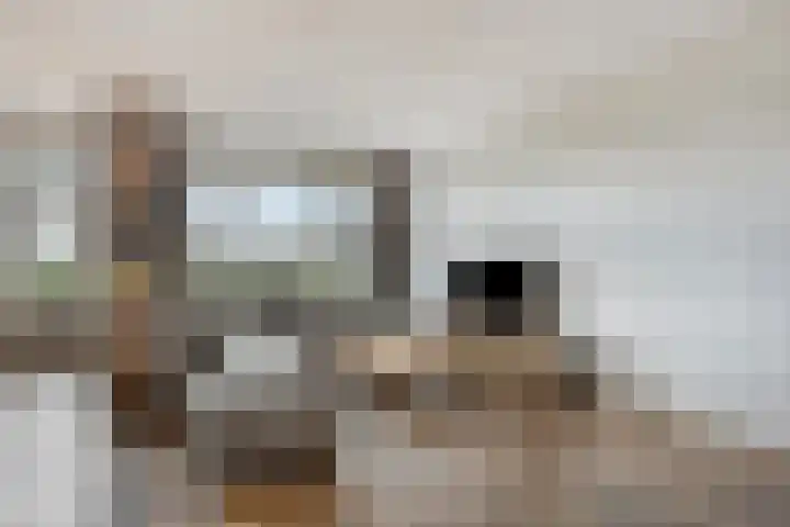 Rode Ring 215 Assendelft thumbnail 7