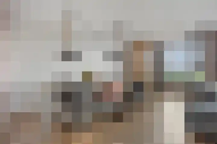 Rode Ring 215 Assendelft thumbnail 9