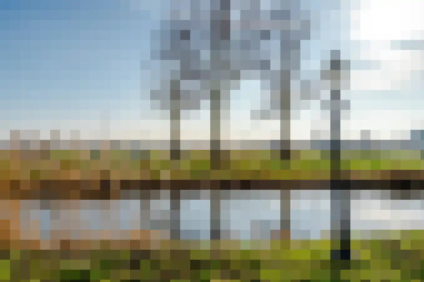 Rode Ring 226 Assendelft thumbnail 30