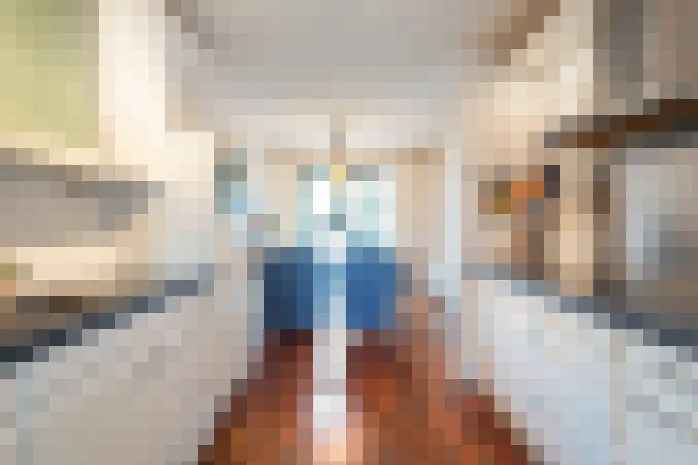 Rode Ring 226 Assendelft thumbnail 8