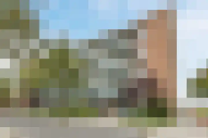 Rode Ring 239 Assendelft