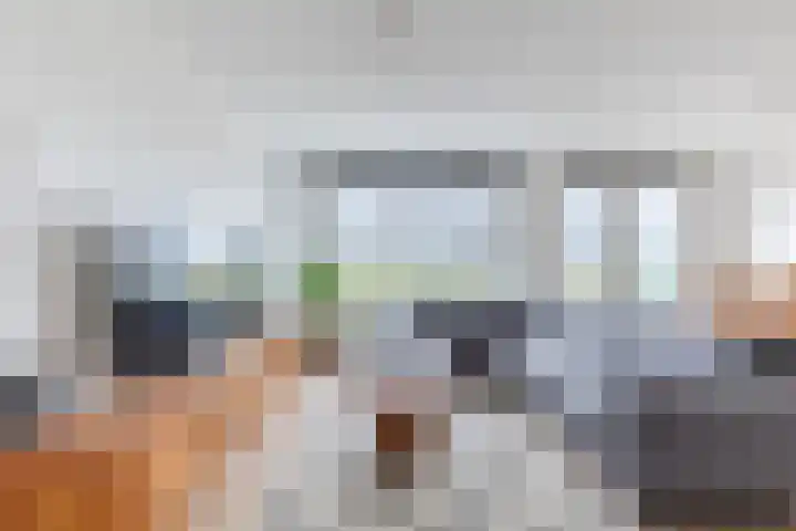 Rode Ring 239 Assendelft thumbnail 13