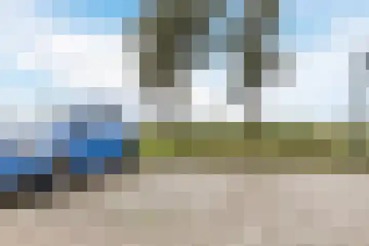 Rode Ring 239 Assendelft thumbnail 26
